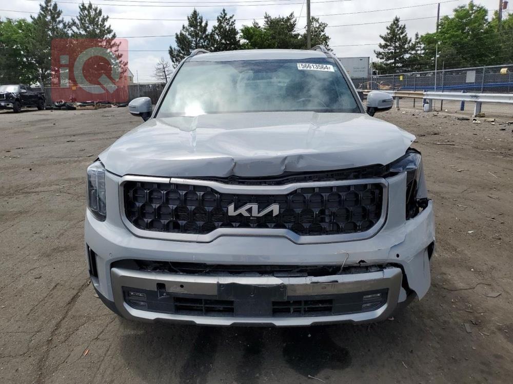 کیا تێلوراید